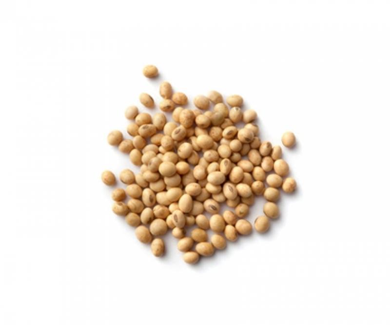 Soya beans